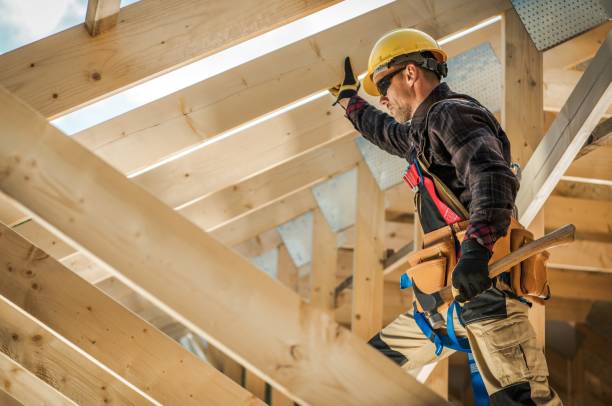 Best Roof Gutter Cleaning  in Tchula, MS