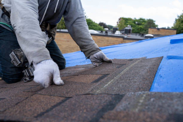 Best Affordable Roofing Company  in Tchula, MS