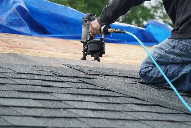 Best Best Roofing Contractors  in Tchula, MS