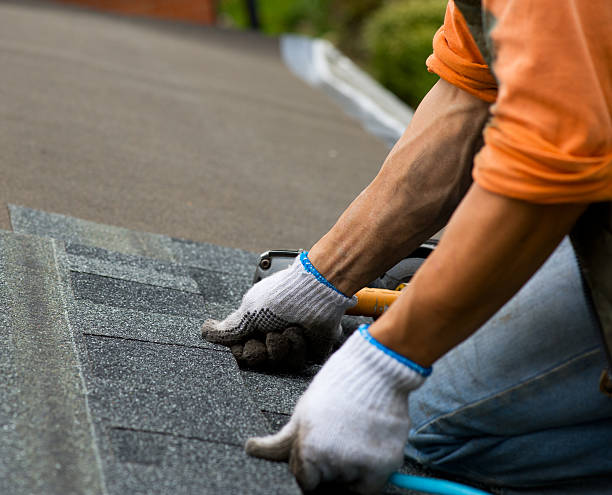 Best Best Roofing Contractors  in Tchula, MS