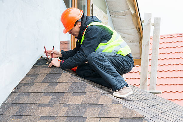Best Metal Roofing Contractor  in Tchula, MS