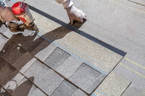 Best Roof Repair Services  in Tchula, MS